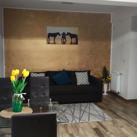 Apartament Lenus'K Lejlighed Bukarest Eksteriør billede