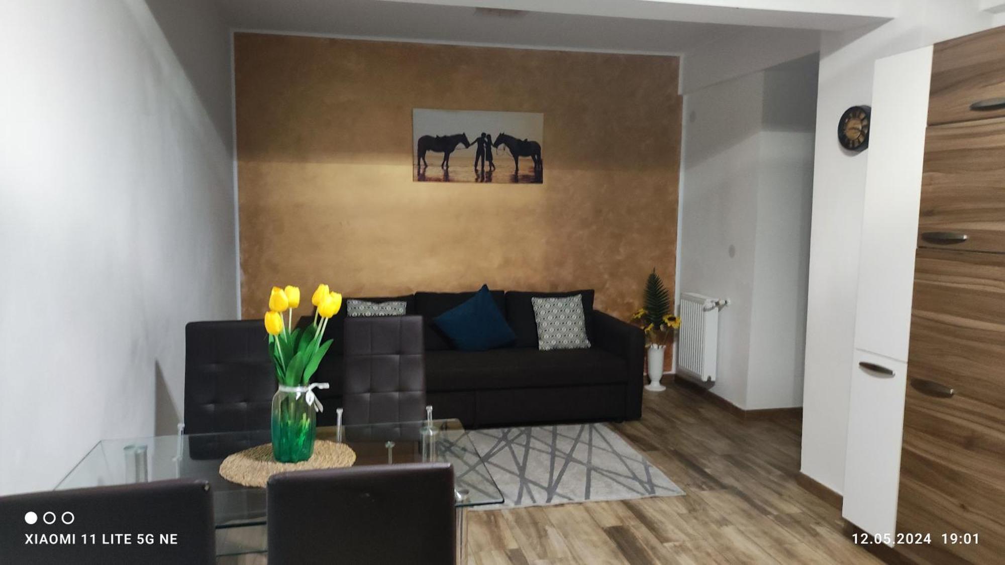 Apartament Lenus'K Lejlighed Bukarest Eksteriør billede